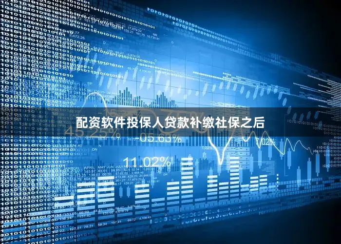 配资软件投保人贷款补缴社保之后