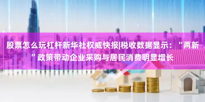 股票怎么玩杠杆新华社权威快报|税收数据显示：“两新”政策带动企业采购与居民消费明显增长