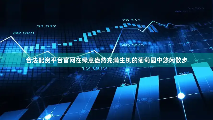 合法配资平台官网在绿意盎然充满生机的葡萄园中悠闲散步