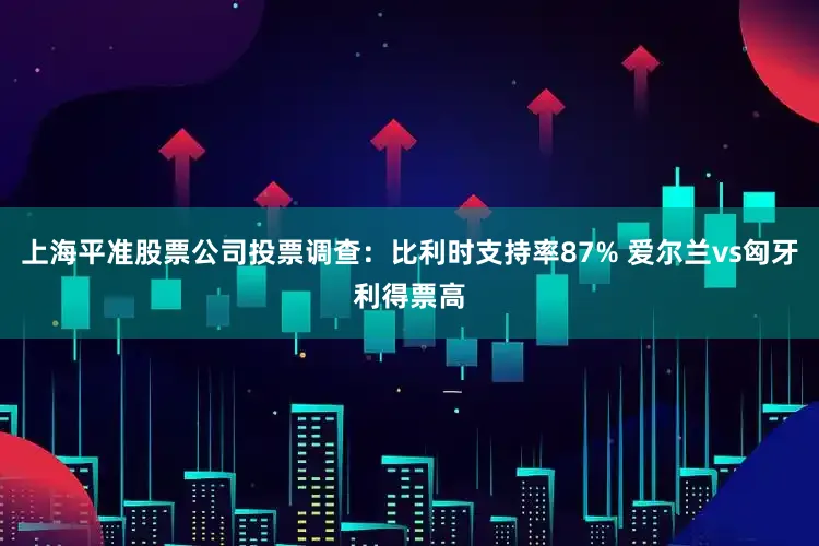 上海平准股票公司投票调查：比利时支持率87% 爱尔兰vs匈牙利得票高